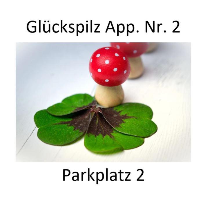 ライフニッツHaus Zum Glueckアパートメント 部屋 写真